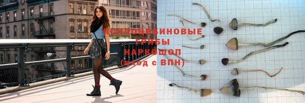 молекула духа Беломорск