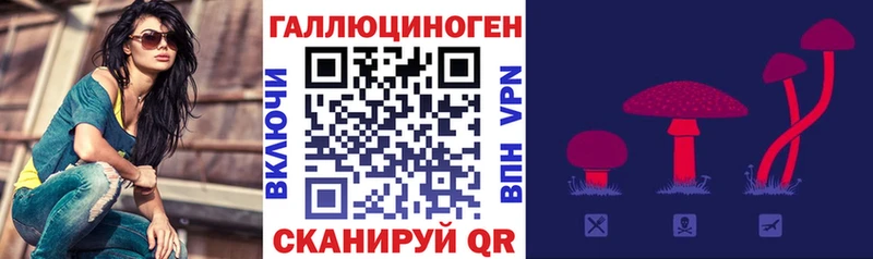 закладки  Новоульяновск  Псилоцибиновые грибы мицелий 
